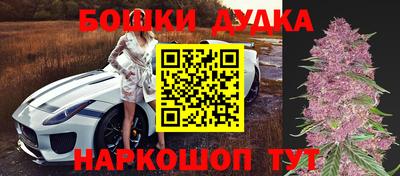 стафф Будённовск