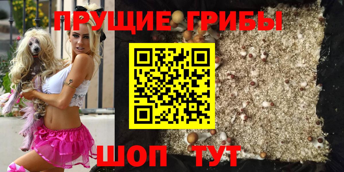 Псилоцибиновые грибы Cubensis Нововоронеж